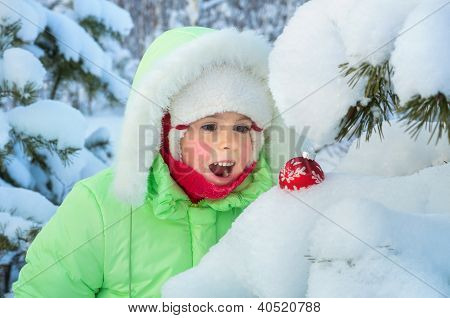Yllätys winter forest.