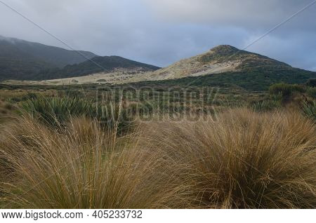 Landscape In Mason Bay. Rakiura National Park. Stewart Island. New Zealand.