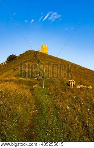 summer landscape near Monte Grappa, Northern Italy