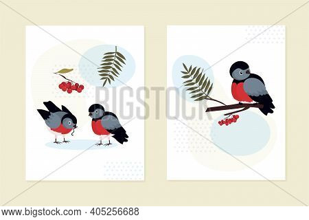 A Set Of Cards, Invitations. A Bullfinch Is Sitting On A Branch Of A Rowan Tree. A Pair Of Birds Str