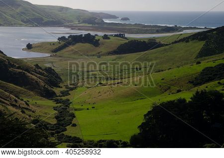 Landscape In Otago Peninsula. Otago. South Island. New Zealand.