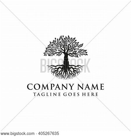 Tree, Oak Banyan Leaf And Root Logo Design Inspiration