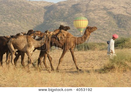 Luftballon på Pushkar Camel Fair