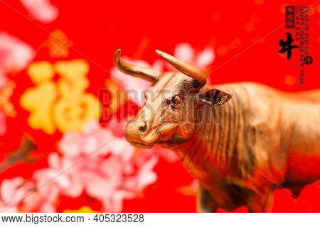 Tradition Chinese 2021 is year of the ox,leftside chinese wording and seal mean:Chinese calendar for the year of ox.rightside translation:good bless for new year.