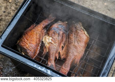 Smoked Fish In Smokehouse Box. Hot Smoked River Bass Fish Cooked With Your Own Hands In A Mini Smoke