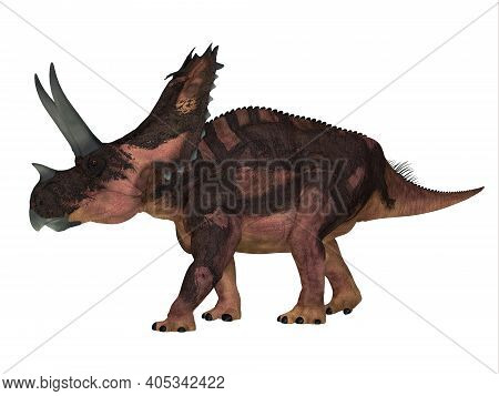 Agujaceratops Side Profile 3d Illustration - The Ceratopsian Herbivorous Dinosaur Agujaceratops Live
