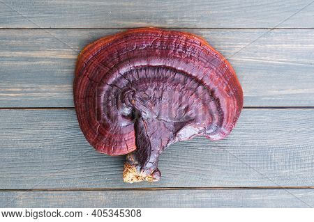 Close Up Of Ling Zhi Mushroom On Wood Table