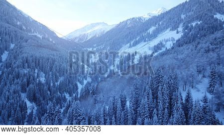 A Majestic Snowy Gorge With Fir Trees In Mountains. Tall Trees Brush Against White Clouds. Steep Cli