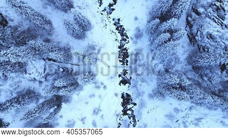 A Majestic Snowy Gorge With Fir Trees In Mountains. Tall Trees Brush Against White Clouds. Steep Cli