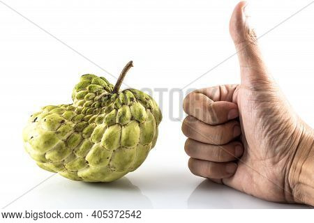 Hand Like Sugar Apple ( Custard Apple, Annona, Sweetsop,cherimoya Fruit )