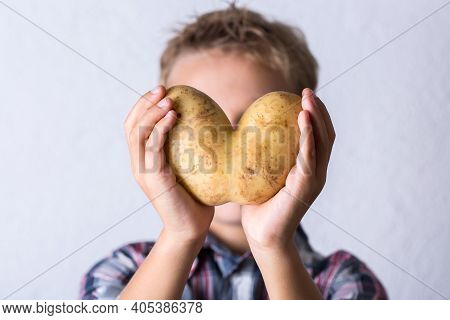 Trendy Ugly Vegetable, Heart Shaped Potato In Hands