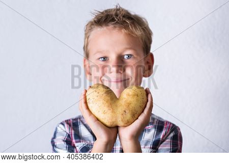 Trendy Ugly Vegetable, Heart Shaped Potato In Hands