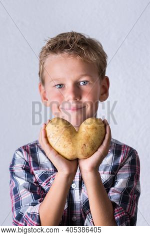 Trendy Ugly Vegetable, Heart Shaped Potato In Hands
