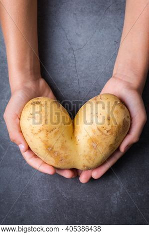 Trendy Ugly Vegetable, Heart Shaped Potato In Hands