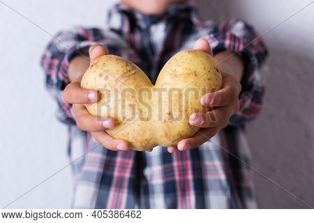 Trendy Ugly Vegetable, Funny Potato With Imperfect Heart Shape In Hands. Farmers Produce, Organic, M