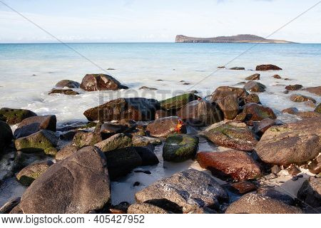 A Coatal Scene From The Galapagos Islands