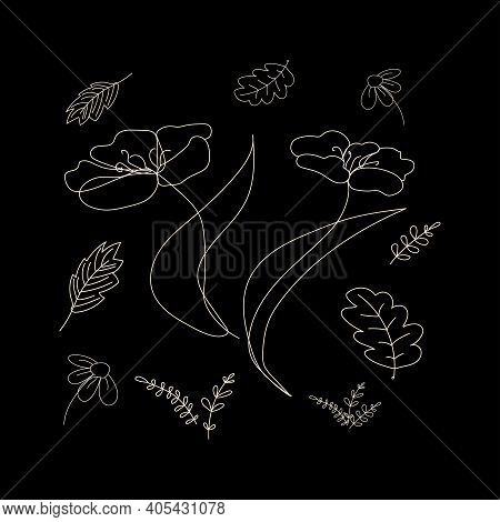 Vector Illustration Of  Lineart  Drawing Abstract Flower Poppy,  Chamomile, Oak Leaves, Poplar And H