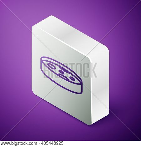 Isometric Line Petri Dish With Bacteria Icon Isolated On Purple Background. Silver Square Button. Ve