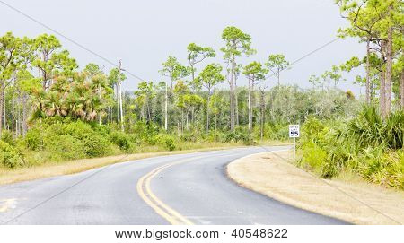 estrada no Parque Nacional Everglades, Florida, Estados Unidos da América