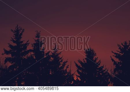 Red Sky And Clouds Above The Forest On A Sunny Morning. Dramatic Red Sky