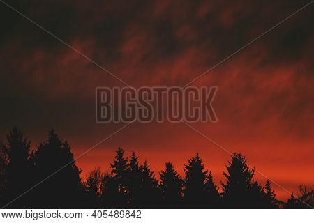 Red Sky And Clouds Above The Forest On A Sunny Morning. Dramatic Red Sky