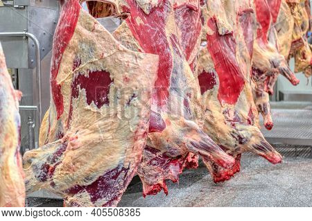 Chopped Beef Carcasses. Large Chunks Of Cow Carcasses Hang From An Overhead Conveyor.