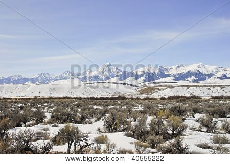 Lemhi bjerge
