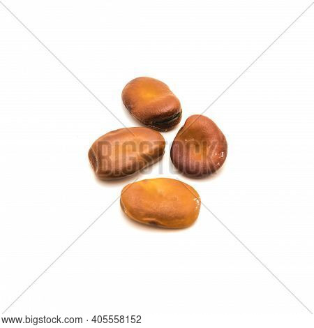 Four Fava Beans Or Broad Beans Planting Seeds Isolated On White Background