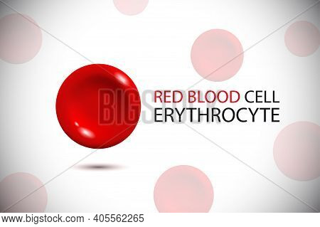 Erythrocyte. Red Blood Cell Logo. Vector Illustration