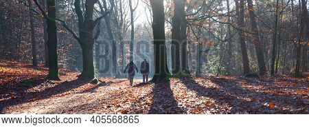 Two Men Walk In Autumn Forest On Sunny Day In The Fall Near Dutch City Of Utrecht