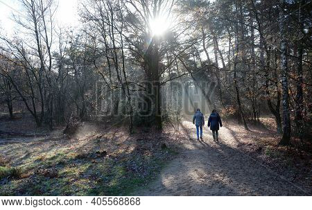 Two Women Walk In Autumn Forest Near Doorn And Utrecht In The Netherlands On Sunny Day In The Fall W