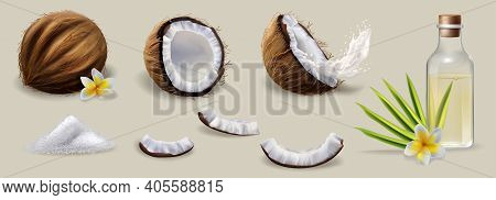 Coconut Pulp, Water Or Oil Concept. Natural Ripe Coconut In Shell, Halved, Cut In Pieces And Squeeze
