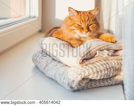 Cute Ginger Cat Sleeps On Pile Of Cable-knitted Sweaters. Winter Sunset. Fluffy Pet On Window Sill W