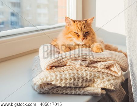 Cute Ginger Cat Sleeps On Pile Of Cable-knitted Sweaters. Winter Sunset. Fluffy Pet On Window Sill W