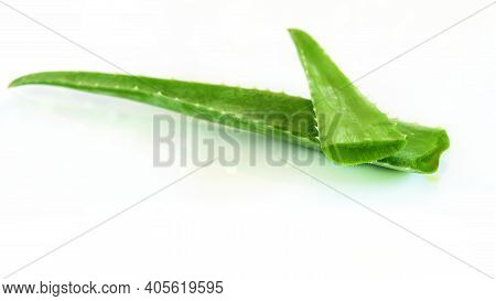 Aloe Vera Leaves On The White Background Isolated, Closeup. Ongredient For Alternative Renewal Medic