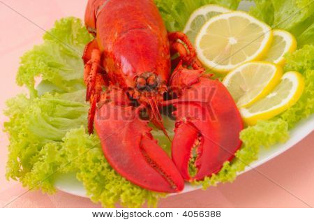 Hummer middag serveres på Plater med citron