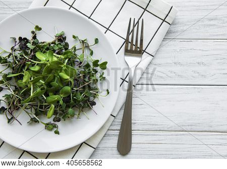 Micro Greens In A Plate On A White Background, Micro Green, Healthy Food Concept