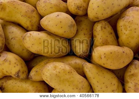 Batatas de alevinos