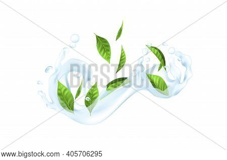 Water And Leaf. Realistic Parts Of Green Plants In Stream Of Liquid. 3d Transparent Aqua Splash. Dri