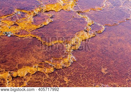 Stromatolites, Rio Tinto River, Andalusia Spain.