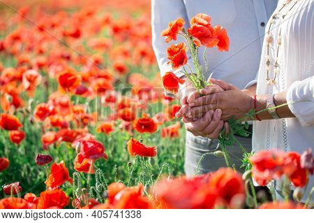 Cmall Bouquet Of Red Poppies In Hands Of A Man. Several Stems Of Poppy Plants In Palms. Large Field 