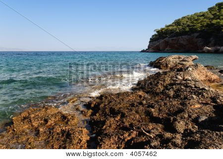 Plaża skalista