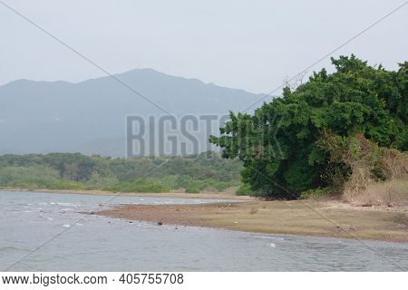 30 Dec 2007 Nai Chung Pebbles Beach , Sha Tin Hong Kong