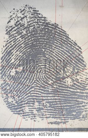 Securing A Fingerprint In Forensics, Collecting Evidence Of A Crime