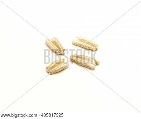 Four Opo Gourd Or Calabash Squash Seeds Isolated On White Background