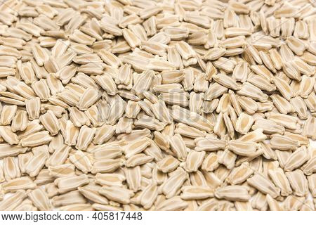 Texture Full Background View Opo Gourd Or Calabash Squash Seeds Isolated On White Background