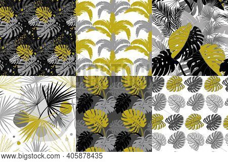 Set Of Modern Seamless Patterns With Monstera Leaves And Palm On Black Background With Gray Leaves F