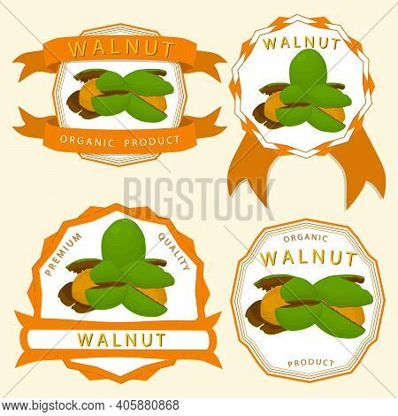Illustration On Theme Big Set Different Types Walnut In Nutshell, Nut Various Size. Walnut Pattern C