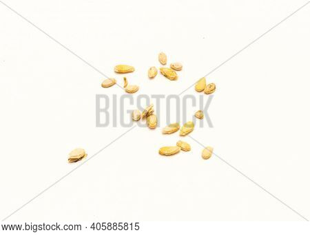 Studio Shot Winter Melon Wax Gourd Seeds Isolated On White Background