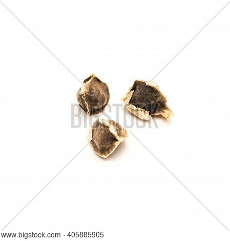 Three Moringa Or Drumstick, Benzolive Seeds Isolated On White Background